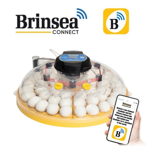 Brinsea maxi connect - 48,