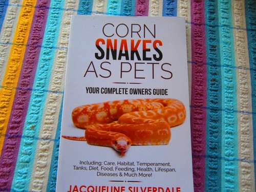 Corn snakes pets - as,