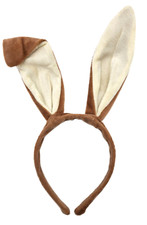 Brown rabbit ears hare - rabbit,