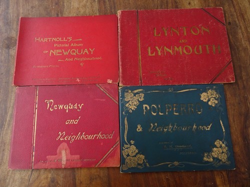 1900 photographic view albums - photographic,