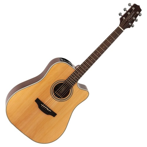 Takamine gd20ce electro - takamine, gd20ce-ns