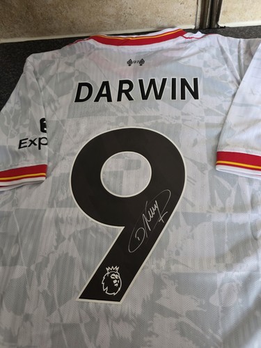 Darwin nunez signed liverpool - nunez,