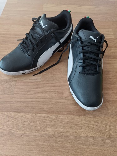 Puma scudaeria ferrari