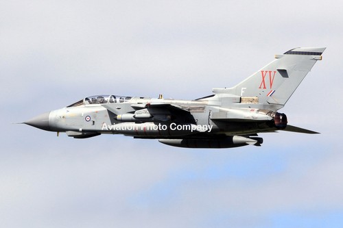 Raf squadron panavia - 15,