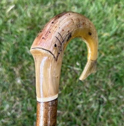 Rams horn walking - horn, stick