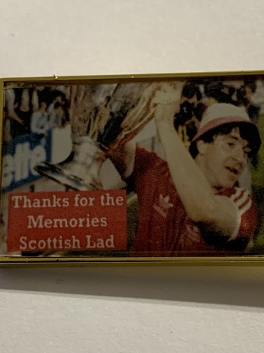 Nottingham forest pin - nottingham,