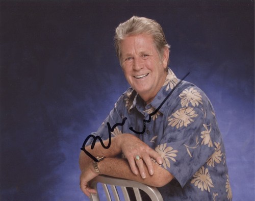 Brian wilson beach boys x - beach, 8"