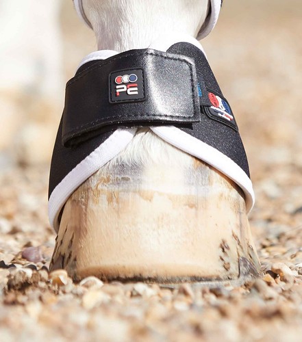 Premier equine magni teque - premier, magni-teque