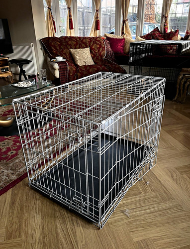 Folding steel wire dog cage - dog,