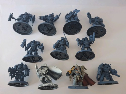 Terminators wolf guard - 11,