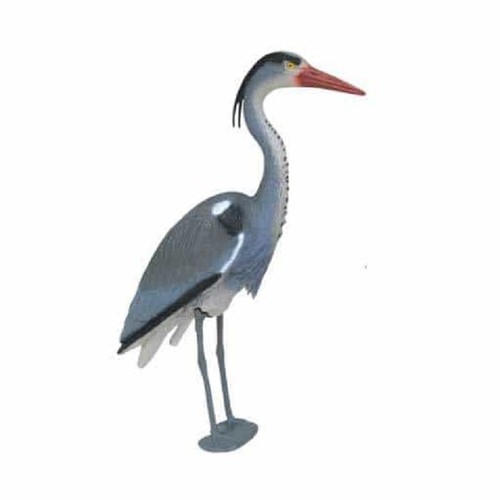 Great blue heron - blue, stands