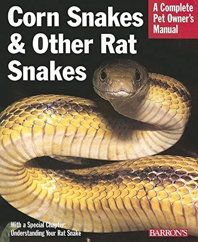 Corn snakes other rat - snakes,