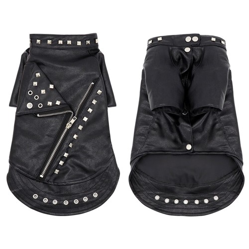 Fashion leather jacket - fashion,