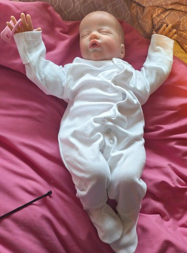 Gorgeous reborn doll - reborn,