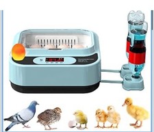 Ouyolad egg incubator for - ,