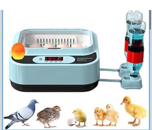 Ouyolad egg incubator for - egg,