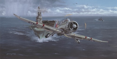 Limited aviation print supreme - aviation,