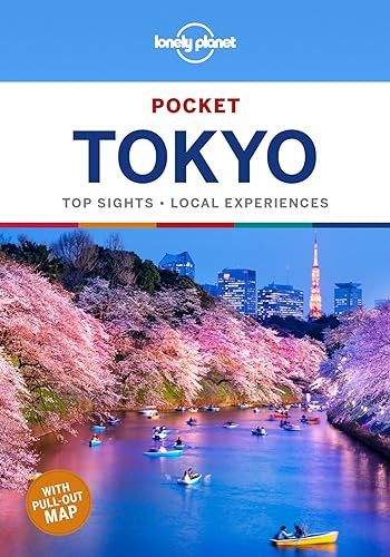 Lonely planet pocket - planet,