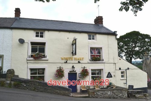 Photo the white hart in - the,