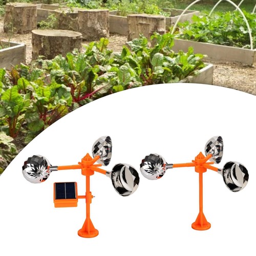 Pigeon bird deterrent seagull - pigeon, deterrent,