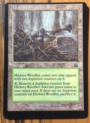 Hickory woodlot misscut - hickory,