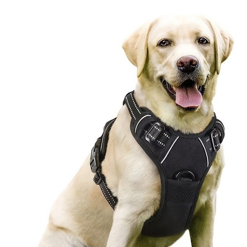 Dog harness pull reflective - dog, no