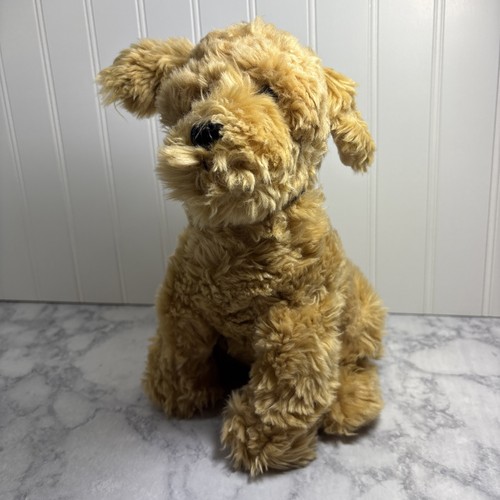 Ganz labradoodle puppy - puppy, dog