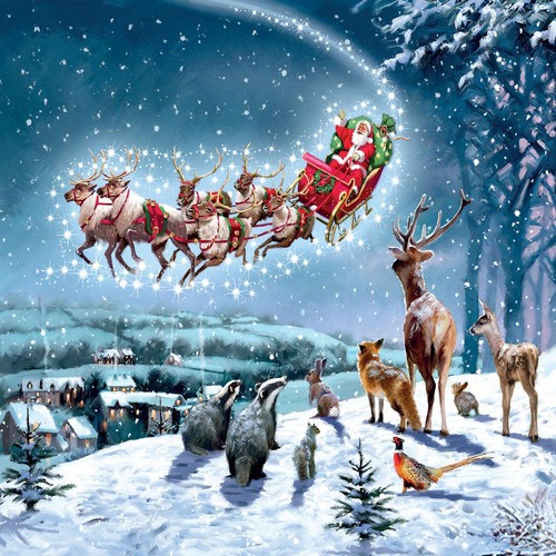 Magical santa sleigh - magical, watched