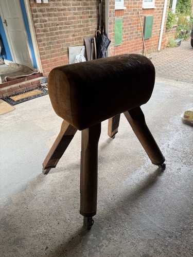 Pommel vaulting horse school - vaulting,