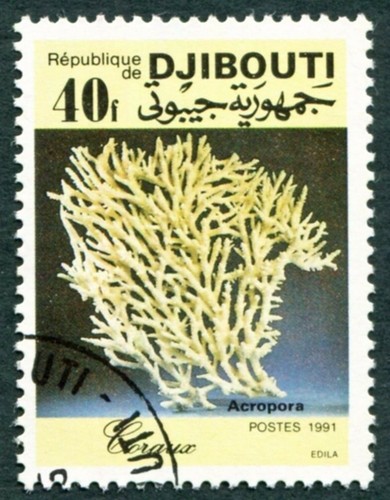 Djibouti 1991 40f sg1059 used - 40f,