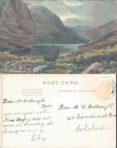 Loch dhu gar with stag - stag, ross