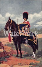 0642. Drum Horse, Royal Scots