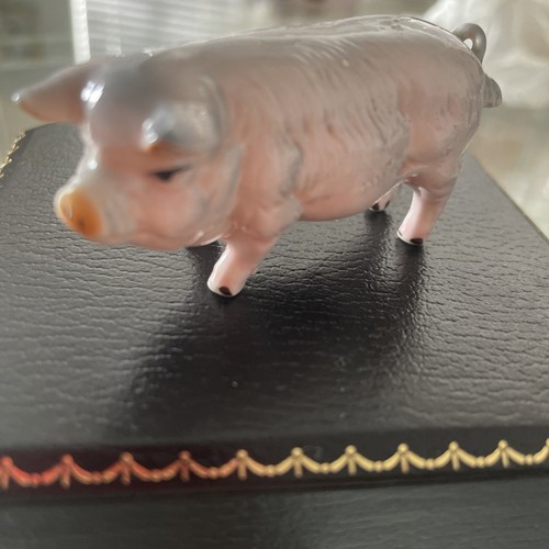 Beswick pig figure champion - pig,
