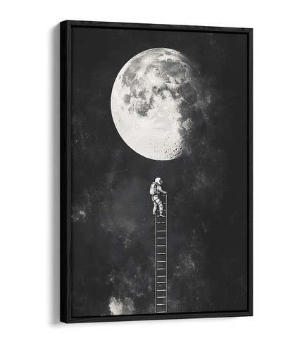 Astronaut climbing ladder - climbing, to