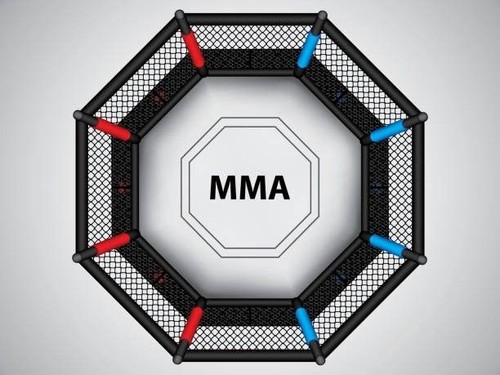 Mma edible fight octagon ring - edible,