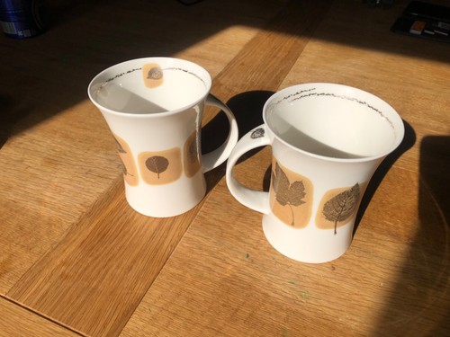 Dunoon sirocco bone china - bone,