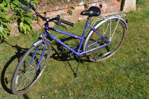 Raleigh pioneer city bike