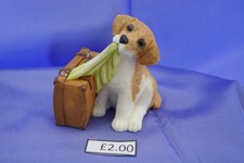 Sherratt & Simpson Labrador puppy new
