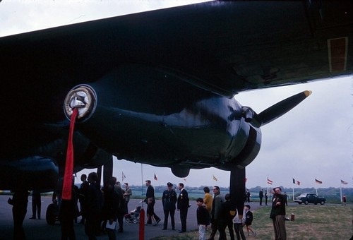 Raf shackleton with - (with, viper