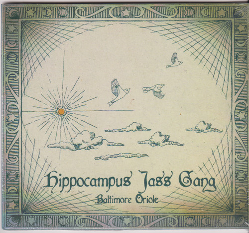 Hippocampus jass gang - hippocampus,