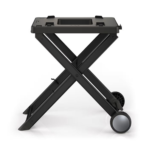 Ninja woodfire electric - electric, bbq