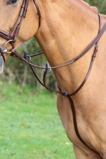 Shires velociti gara - velociti,