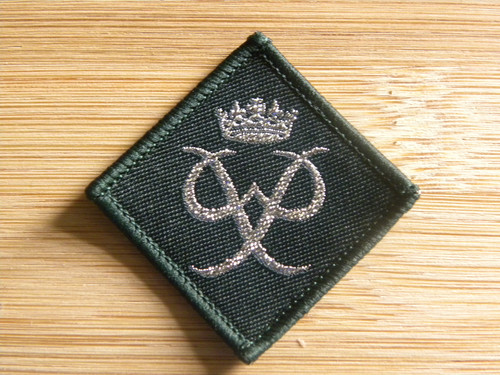 Current scouting duke of - uk,