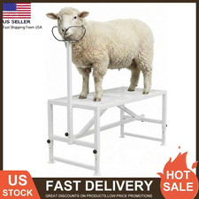 500lbs Goat & Sheep Stand