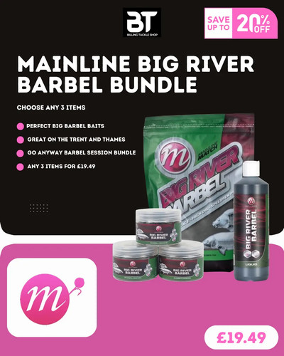 Mainline big fish barbel - mainline,
