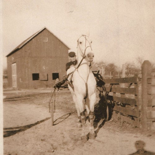 C1910s sulky harness - sulky,