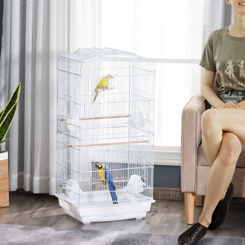 Bird cage with - bird, food