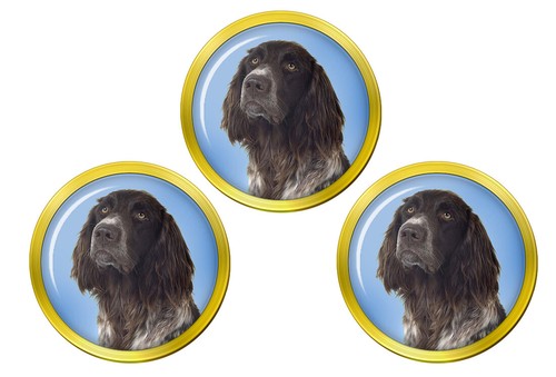 German longhaired pointer golf - pointer,