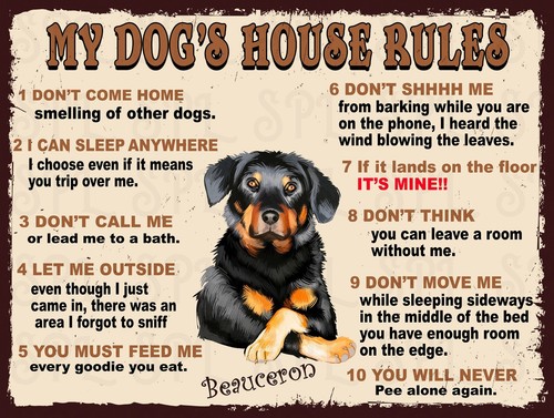 Beauceron dog house - house, rules