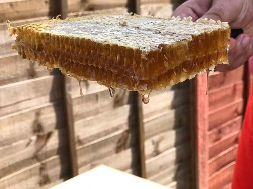 Raw honeycomb direct from - raw,